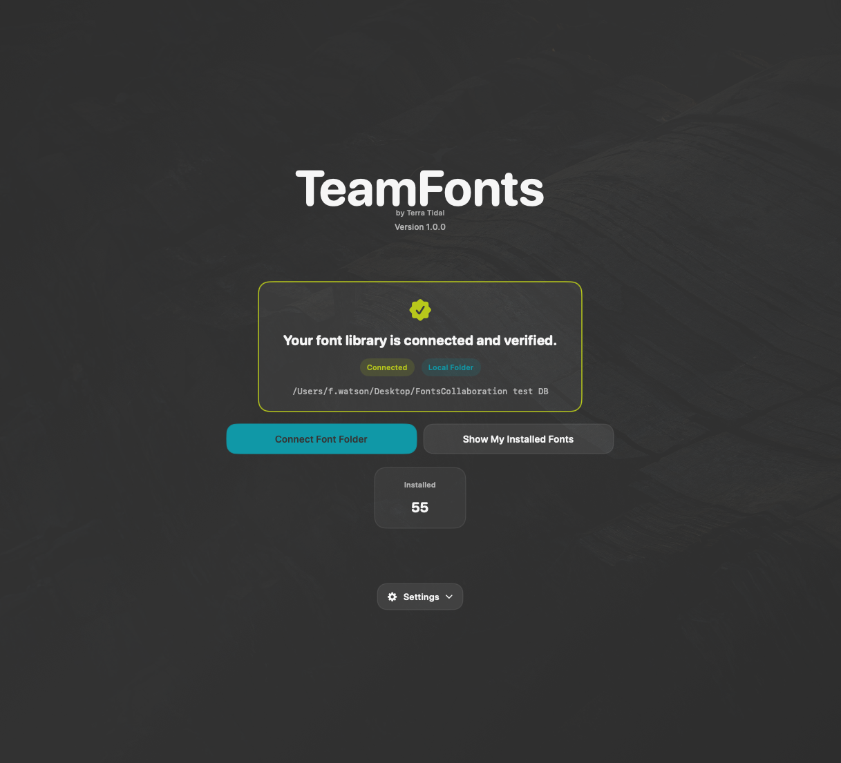 TeamFonts app interface showing a connected and verified team font library